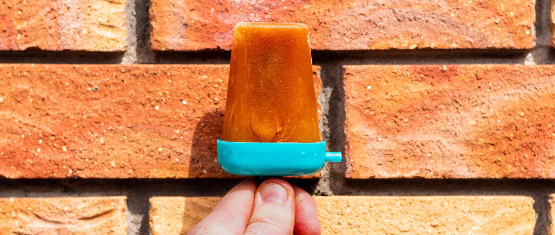 Cold Brew Ice Pop