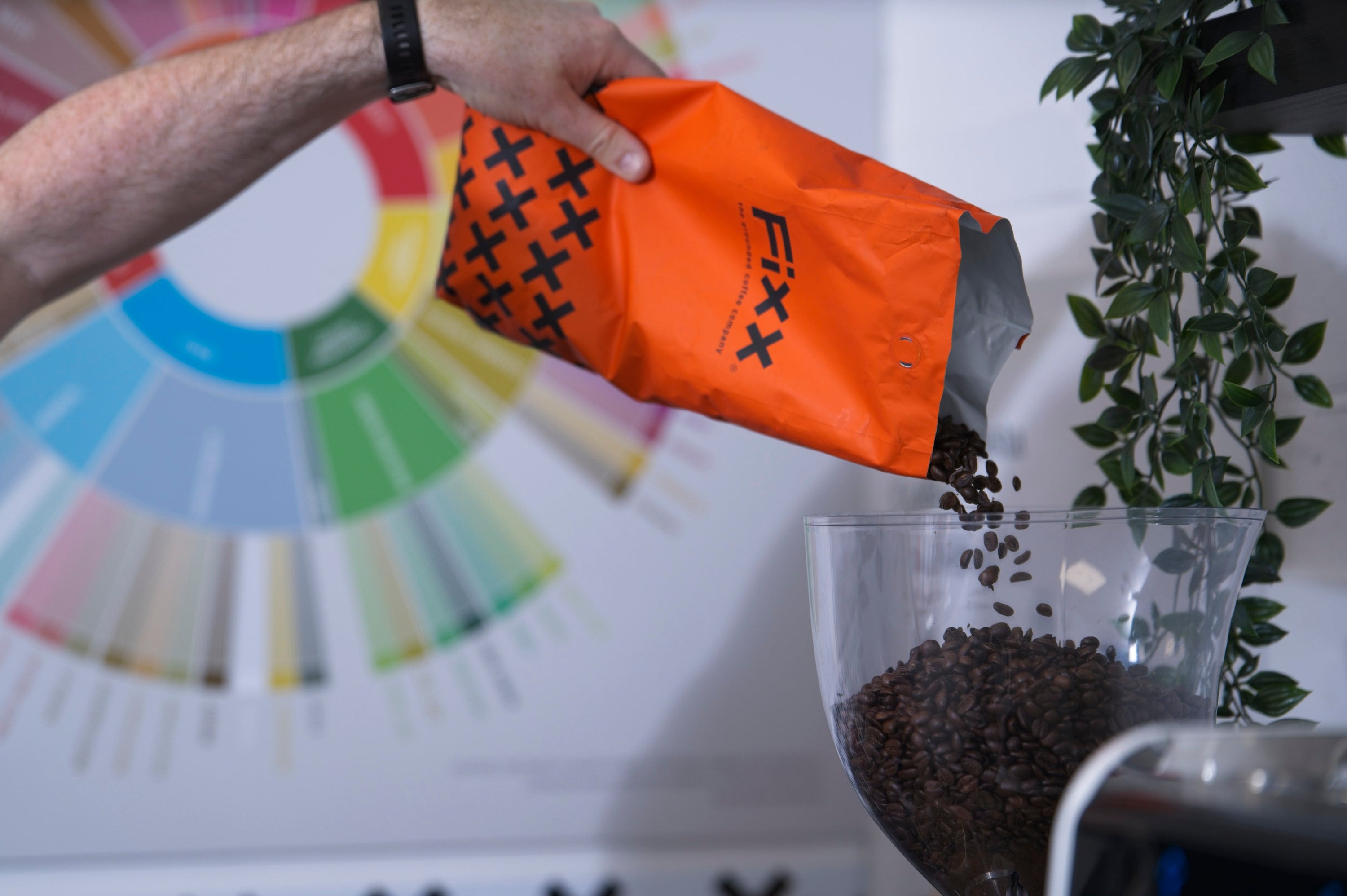 How to Choose and Compare Coffee Suppliers for Your Café
