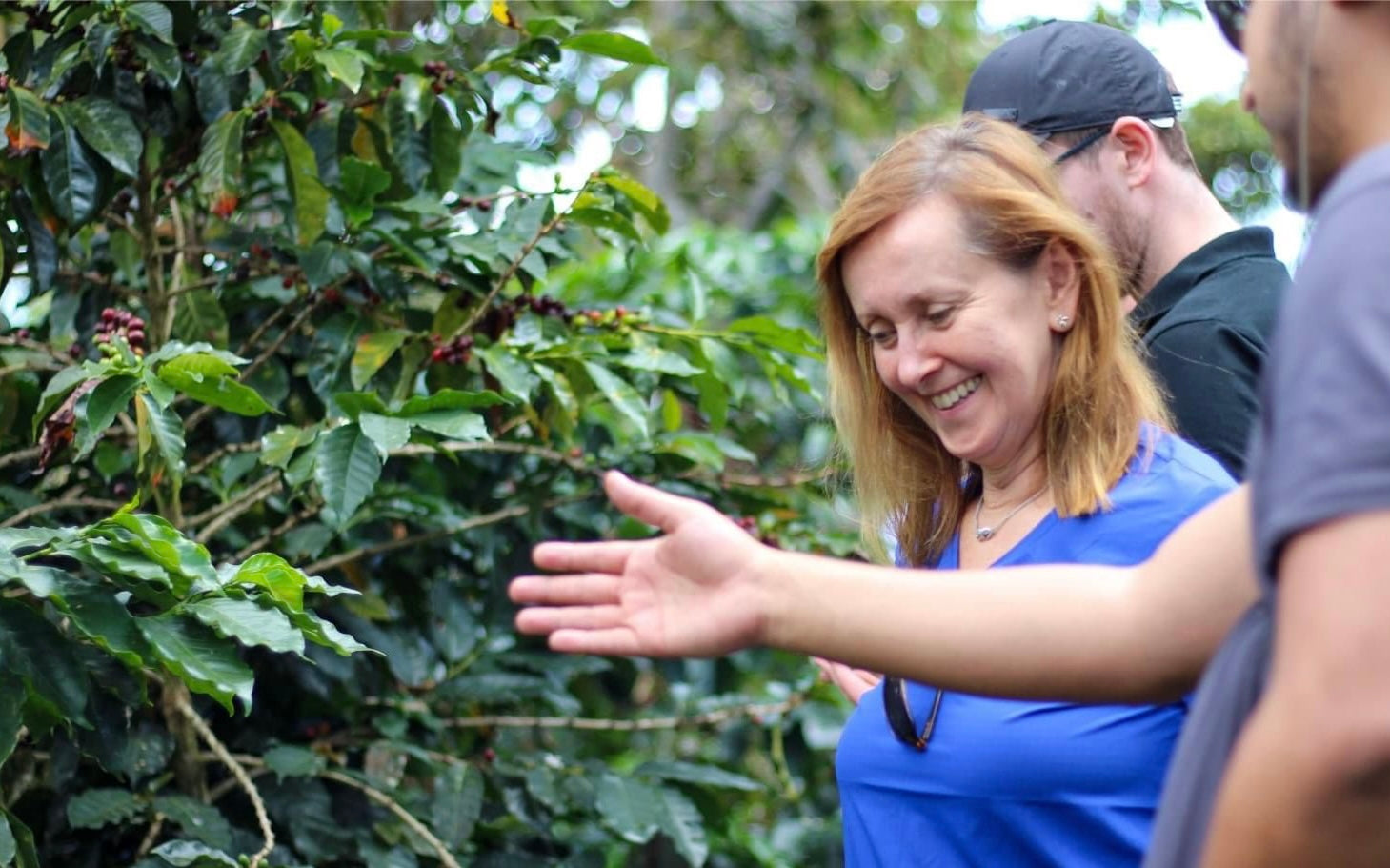 People inspecting a coffee plant on a farm