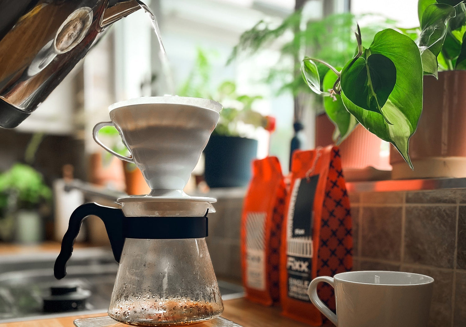 A kettle pouring water into a Hario V60 on a counter top suronded by houseplants