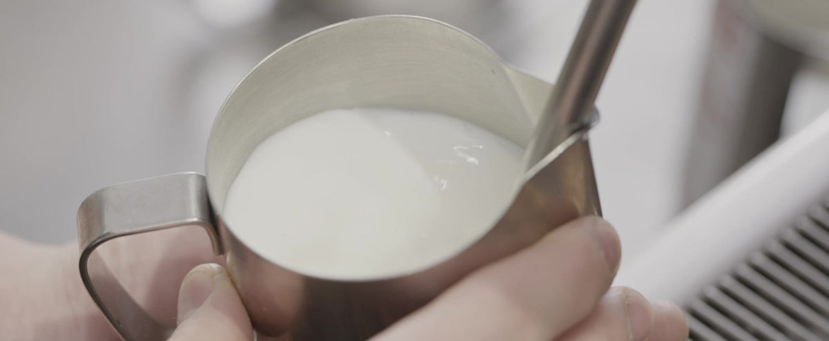 Microfoam Coffee Explained - Definition & Meaning - FiXX Coffee